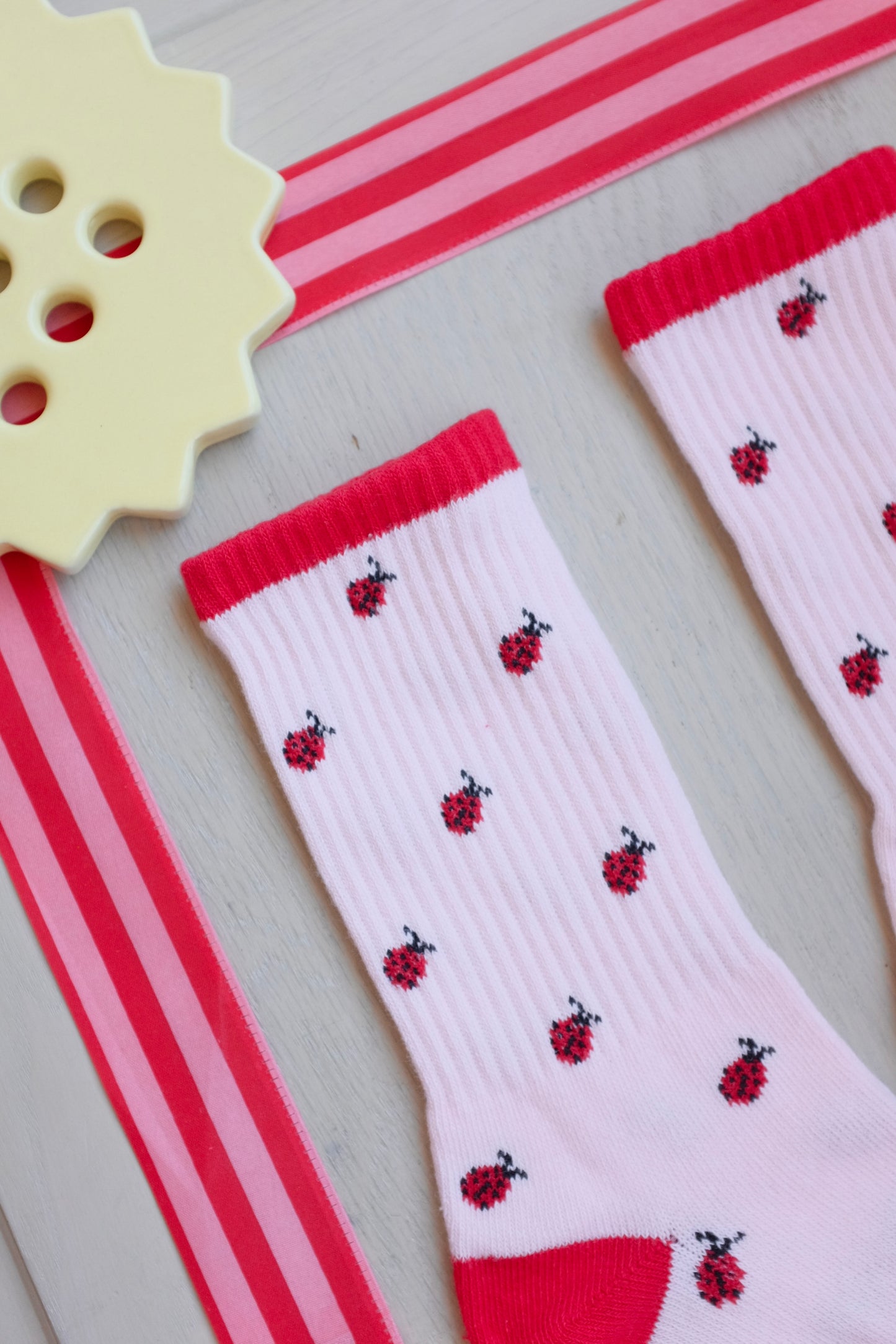 Lucky Ladybugs