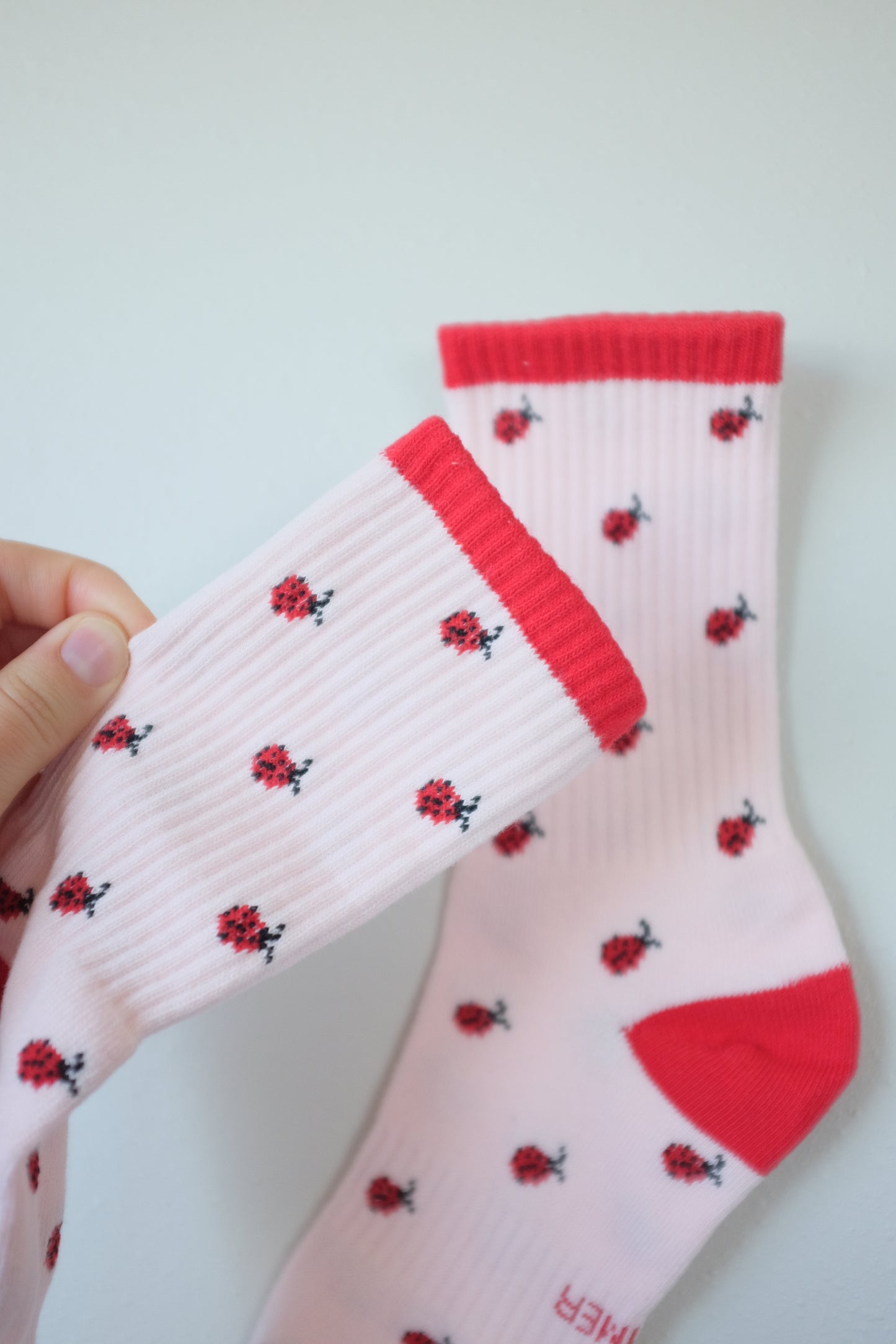 Lucky Ladybugs