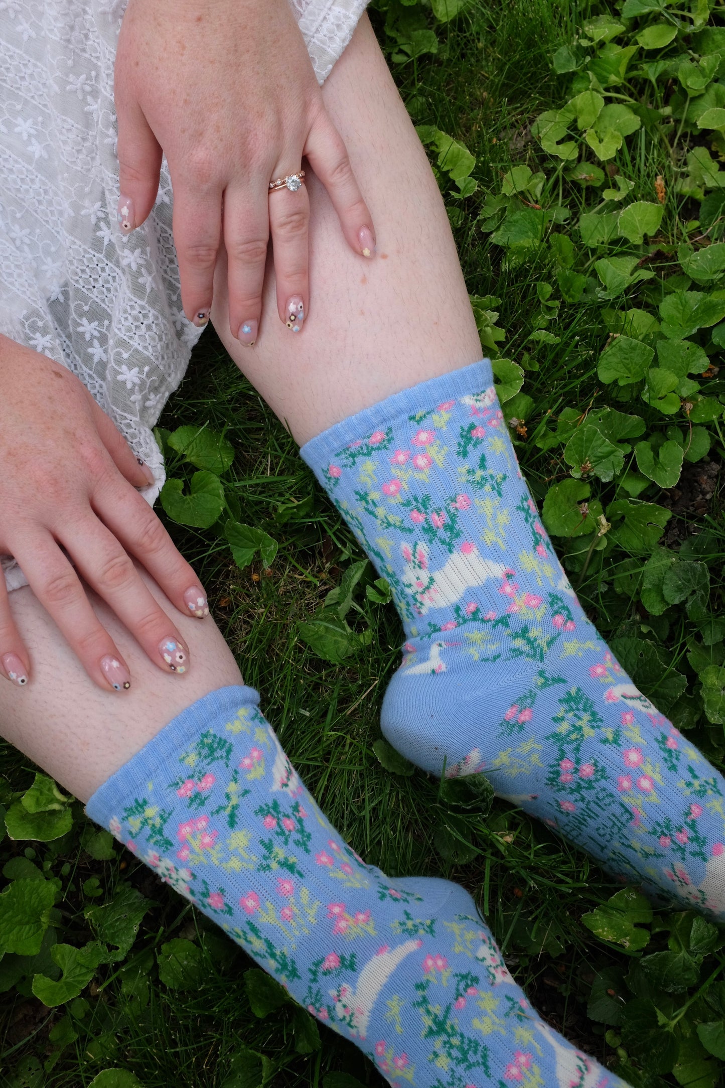 Blue Meadow