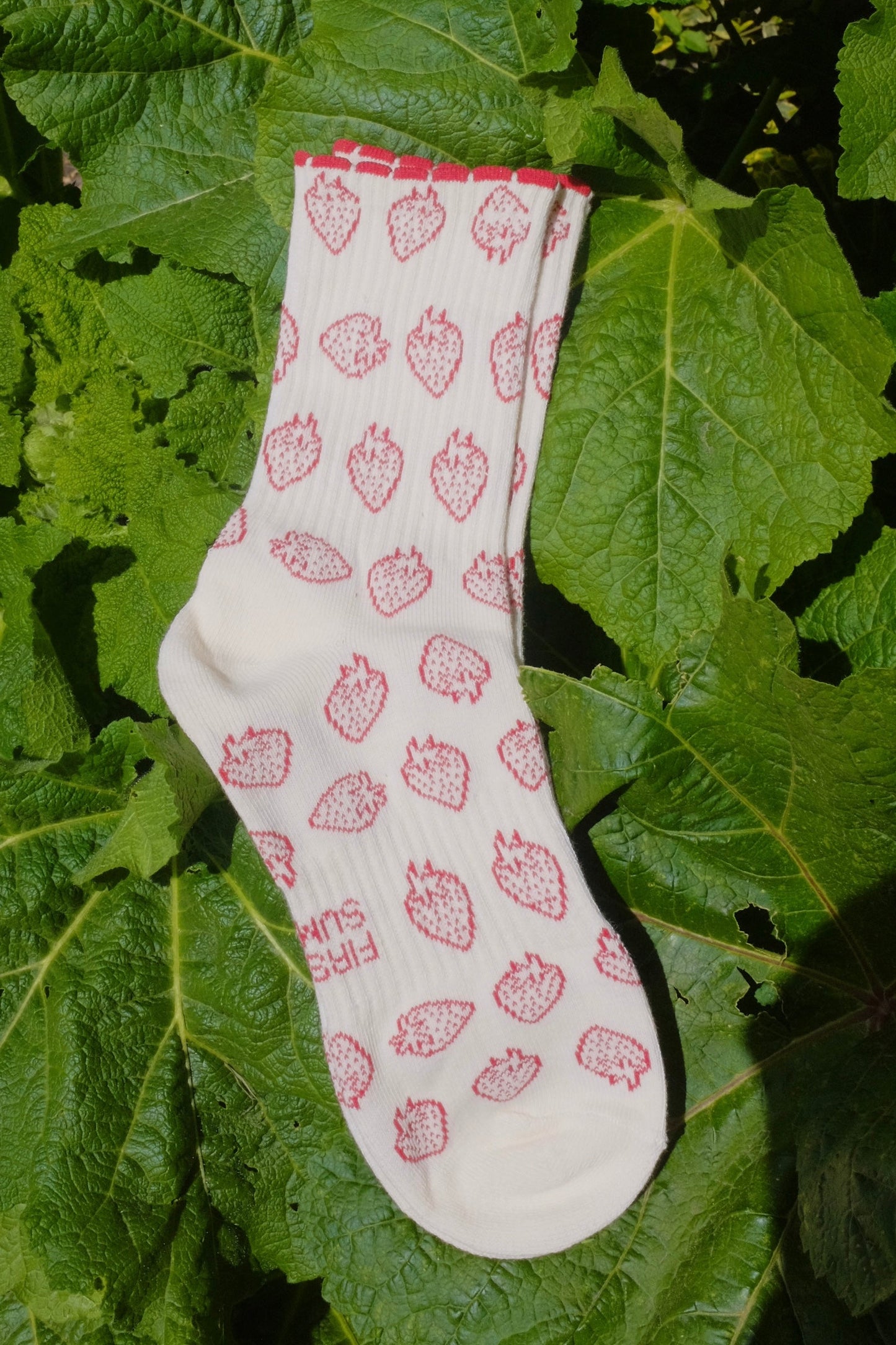 Strawberries & Cream