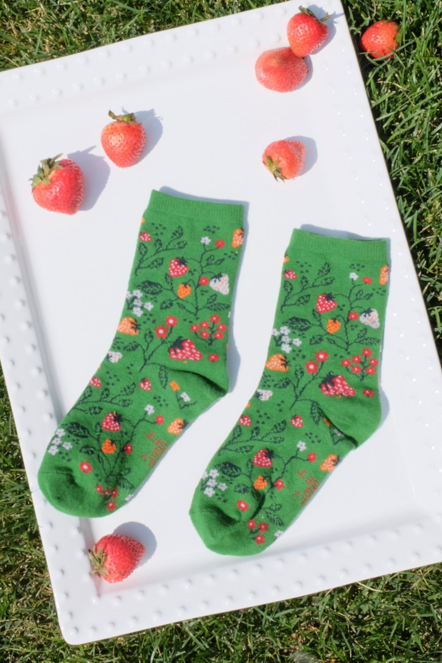 Strawberry Wonderland
