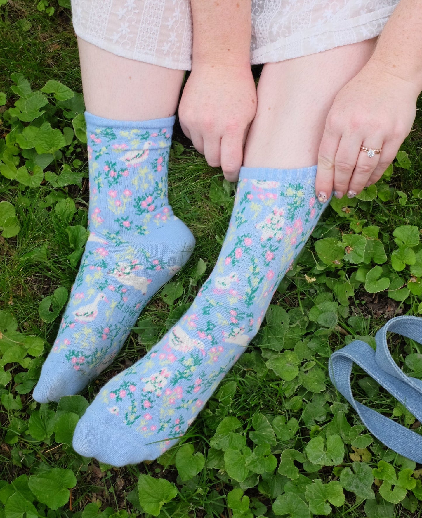 Blue Meadow