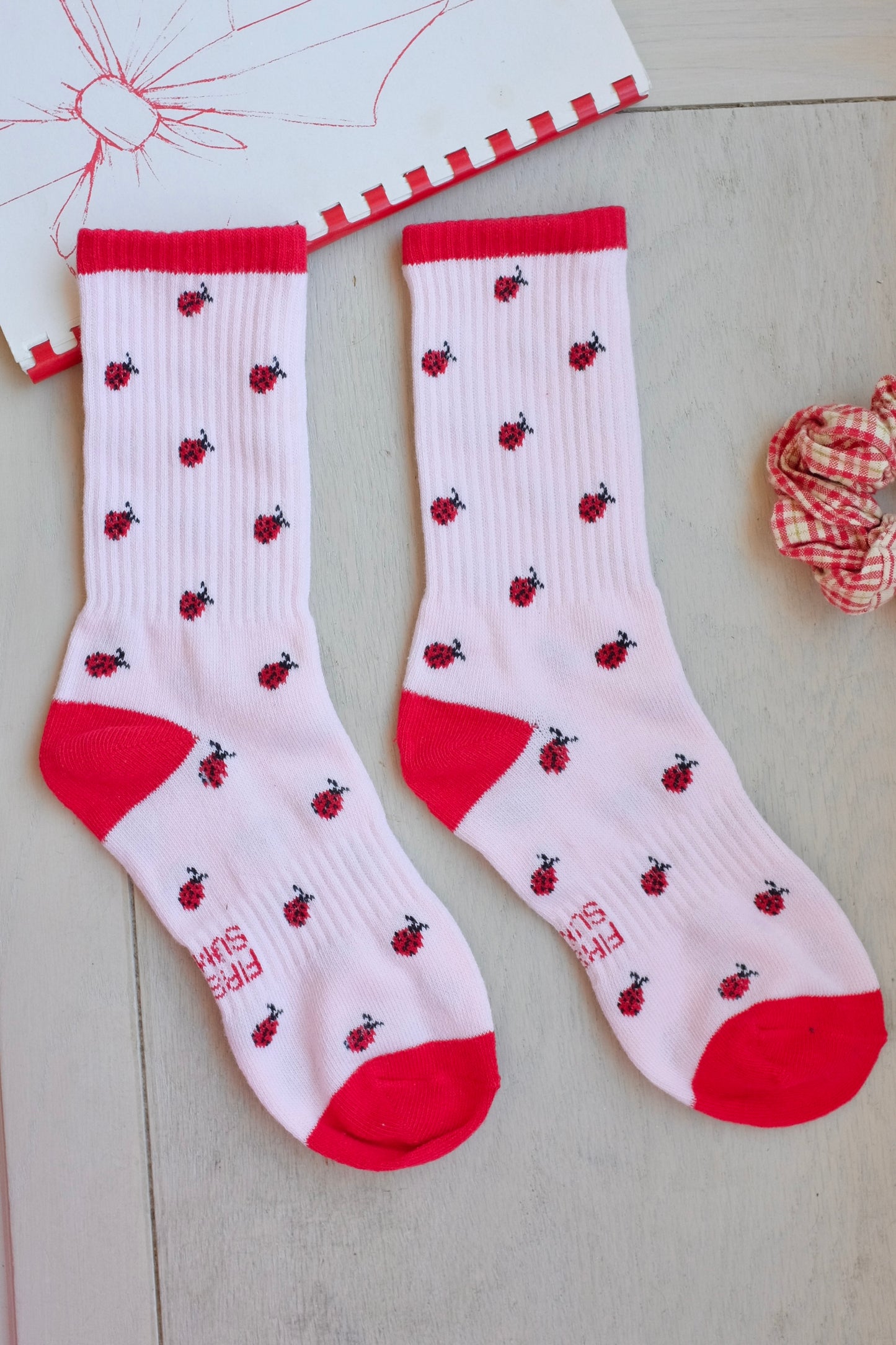 Lucky Ladybugs